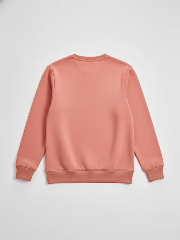 Highlander Men Peach Round Neck Pullover Sweatshirt