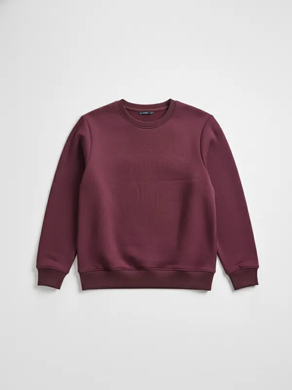 Men Solid Sweatshirt