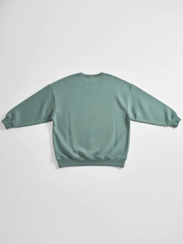 Highlander Men Green Round Neck Pullover Sweatshirt