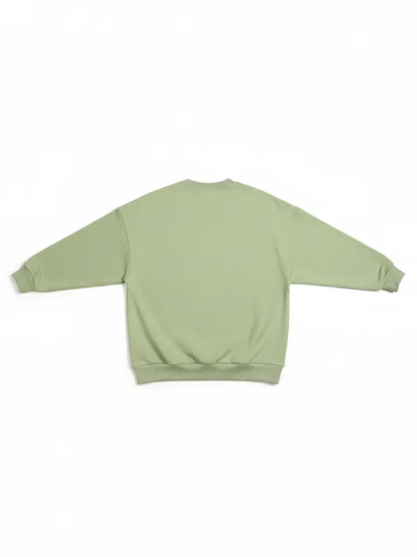 Highlander Men Green Round Neck Pullover Sweatshirt
