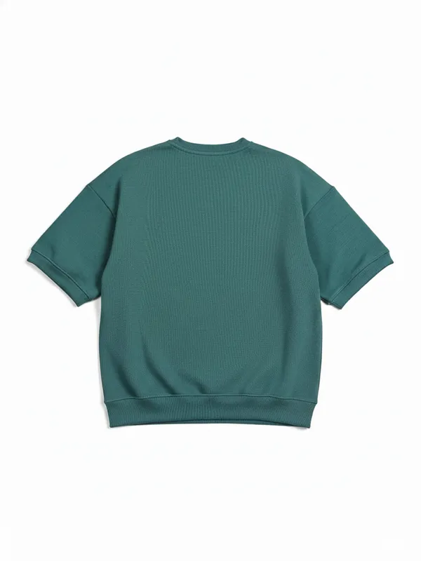 Highlander Men Teal Round Neck Pullover Sweatshirt