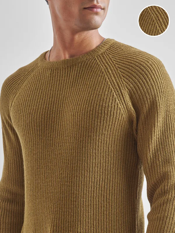 Highlander Men Mustard Round Neck Pullover Sweater