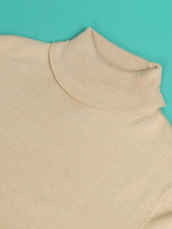 Highlander Men Beige Turtle Neck Pullover Sweater