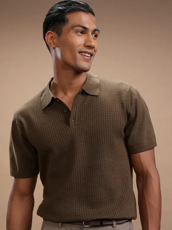 Highlander Men Brown Self Design Polo Collar Regular Fit T-Shirt
