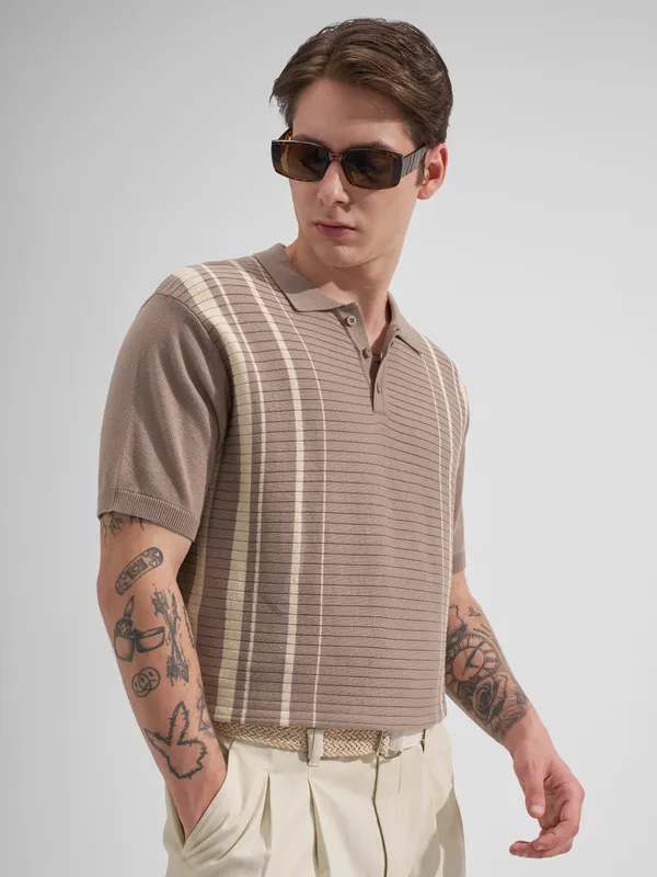 Highlander Men Taupe Striped Polo Collar T-Shirt