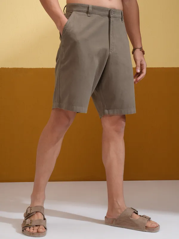 Highlander Men Brown Regular Fit Shorts