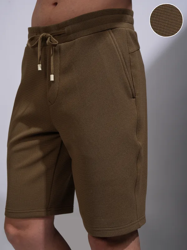 Highlander Men Brown Regular Fit Shorts