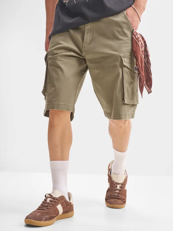 Highlander Men Brown Regular Fit Cargo Shorts