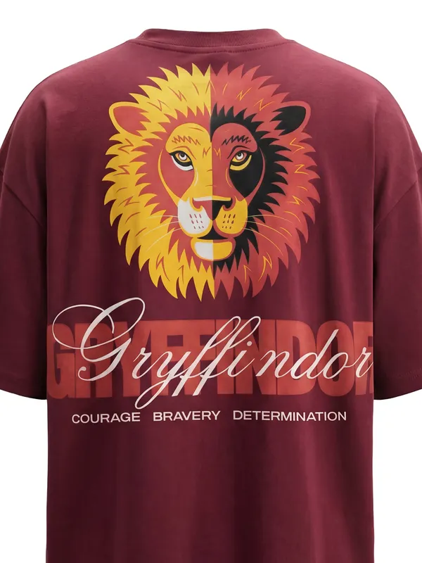 WB By Highlander Men Maroon Harry Potter Harry Potter Harry Potter Harry Potter Printed Round Neck T-Shirt