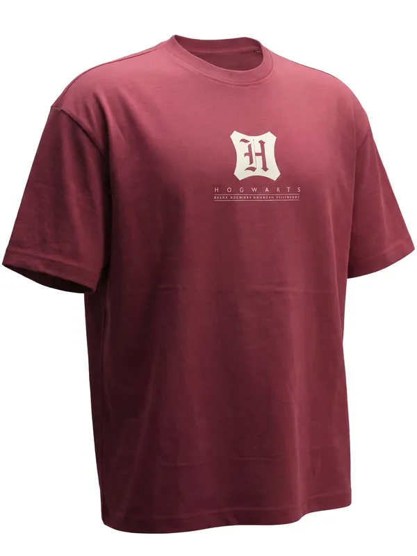 WB By Highlander Men Maroon Harry Potter Harry Potter Harry Potter Harry Potter Printed Round Neck T-Shirt