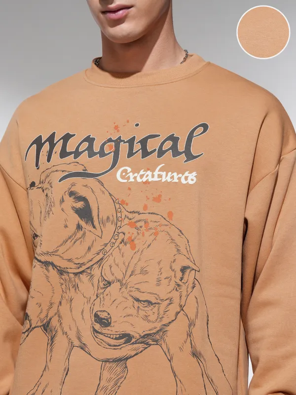 WB By Highlander Men Brown Harry Potter Round Neck Pullover Sweatshirt