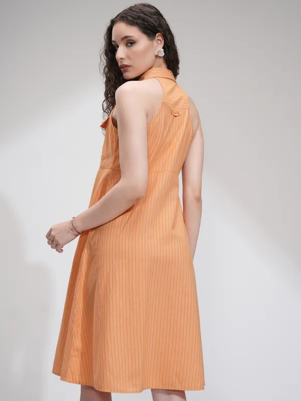 Striped Fit And Flare Dress