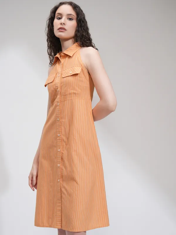 Striped Fit And Flare Dress