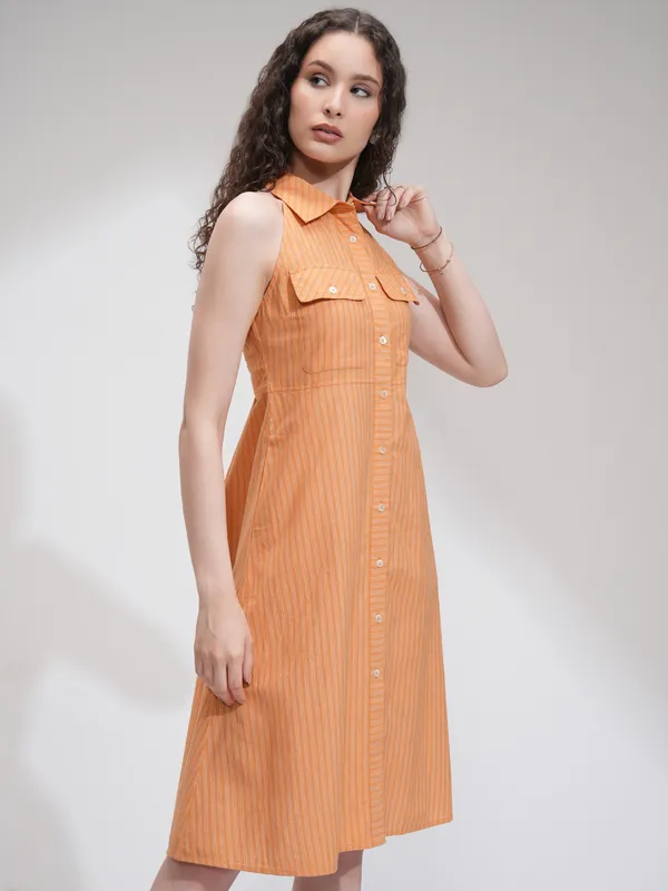 Striped Fit And Flare Dress