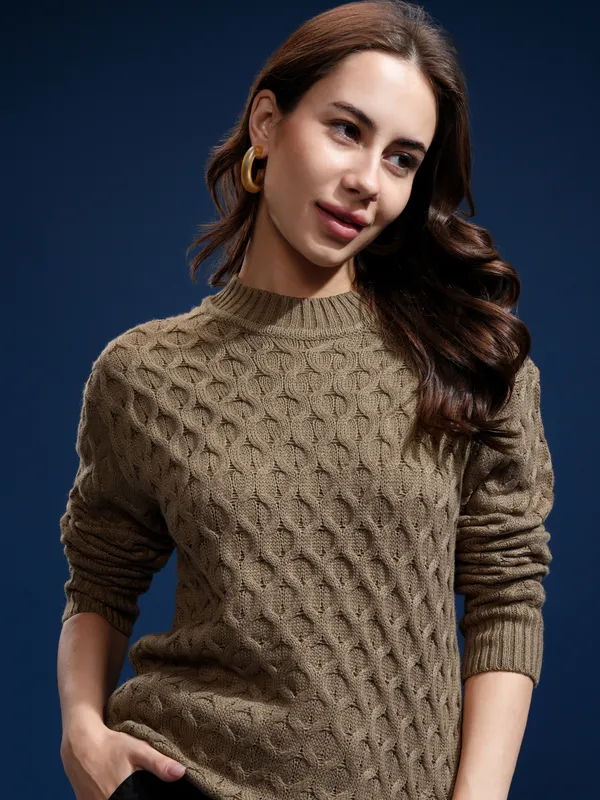 Women Self Design Sweater