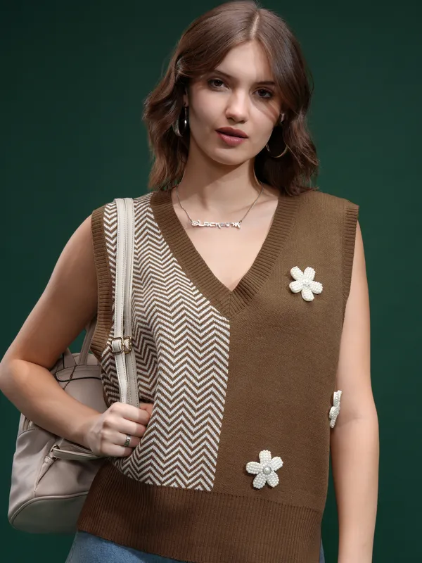 Tokyo Talies Women Brown V-Neck Sweater