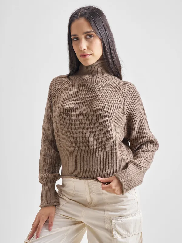 Women Solid Sweaters