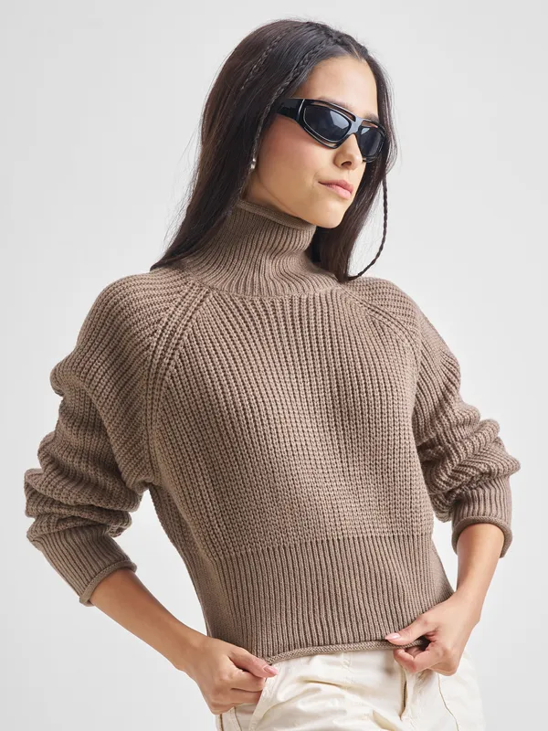 Women Solid Sweaters