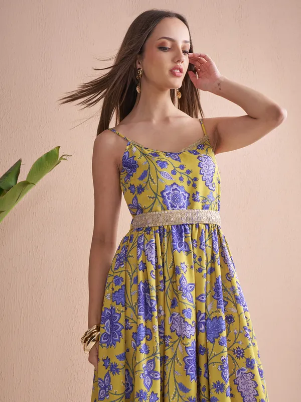 Printed Fit and Flare Dress