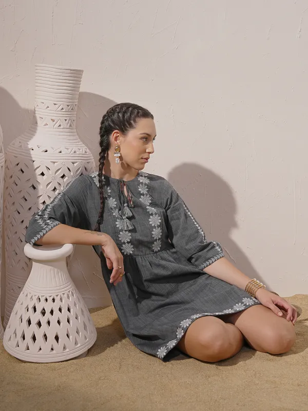 Embroidered A-Line Dress