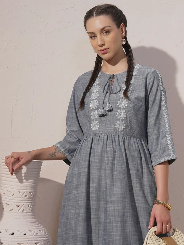 Embroidered A-Line Dress