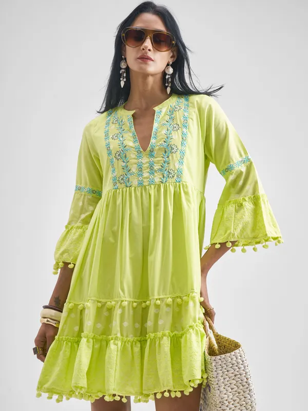 Embroidered Fit and Flare Dress