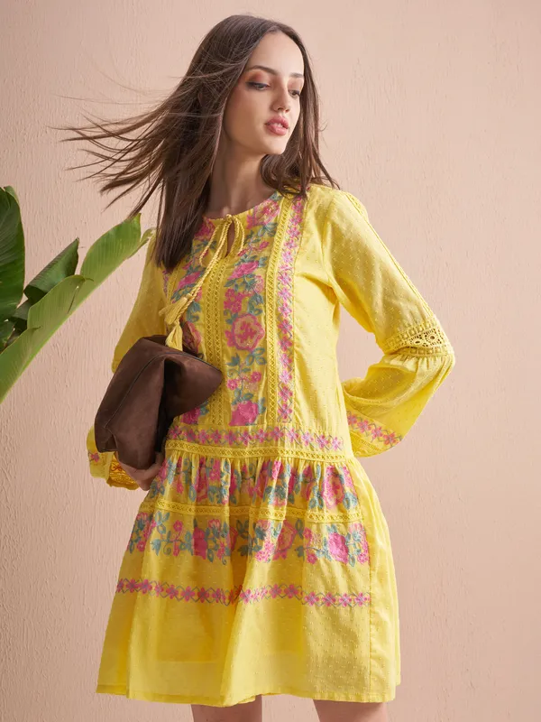 Embroidered Fit and Flare Dress