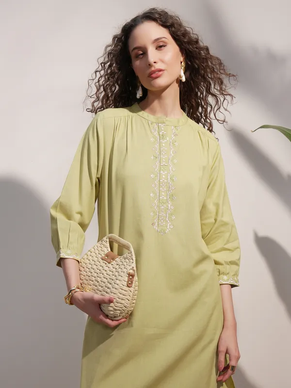 Embroidered Straight Kurta