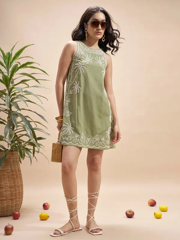 Embroidered A-Line Dress