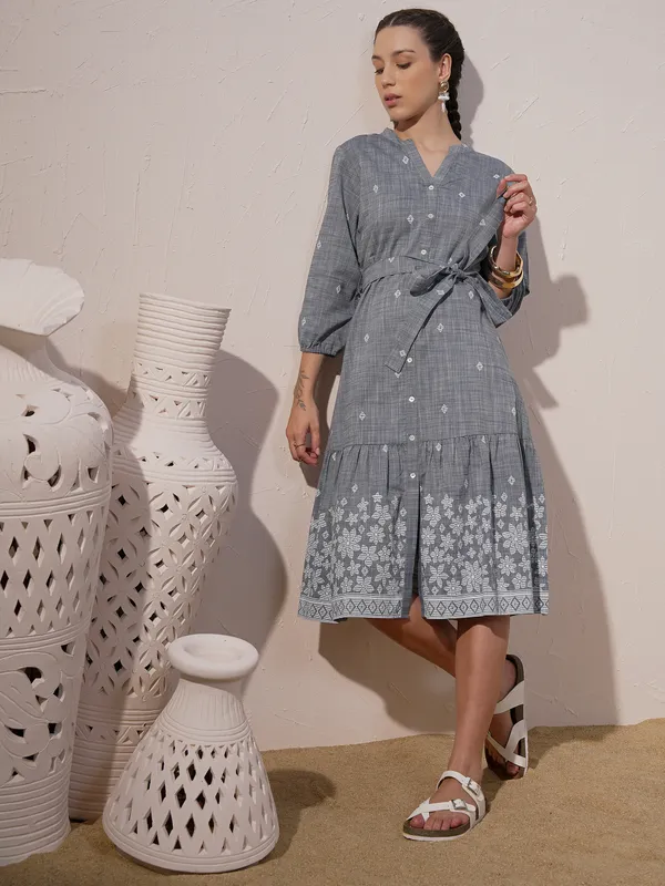 Printed Fit And Flare Dress