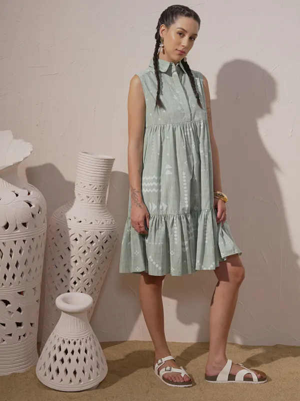 Printed Drop-Waist Dress