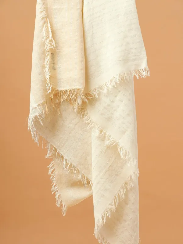 Fashion Scarves