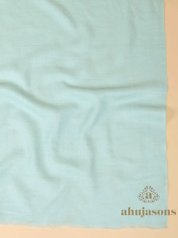 Handloom Pure Pashmina Shawl