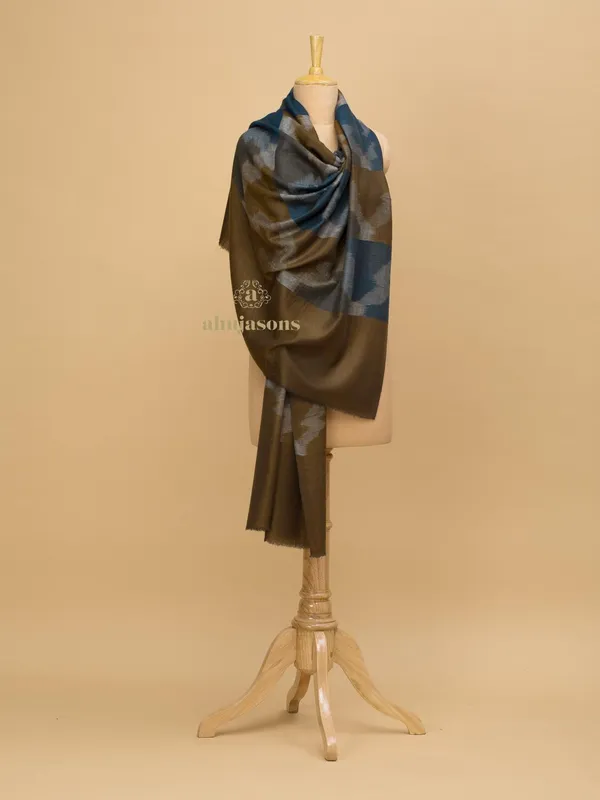 Handloom Pure Pashmina Shawl