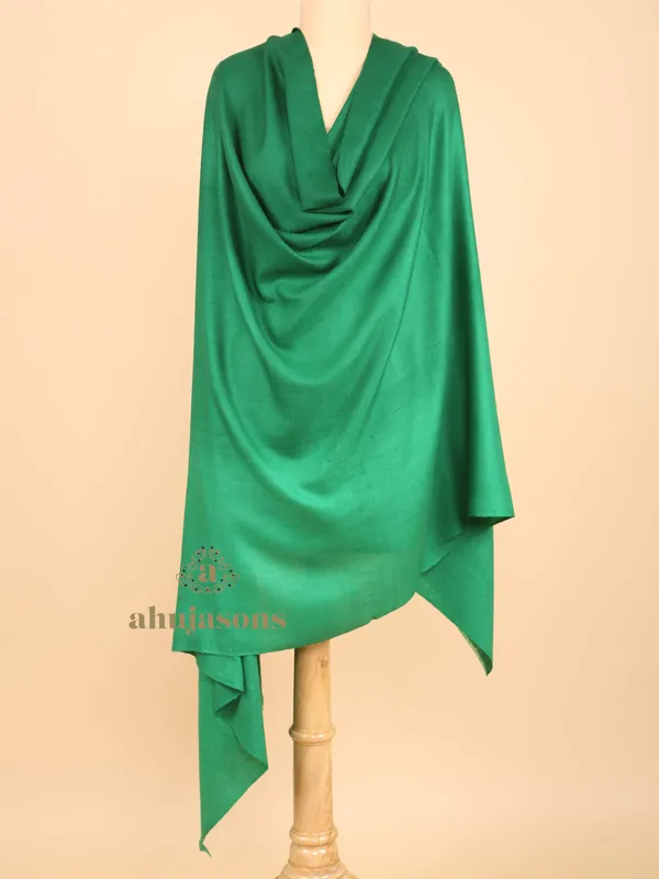 Handloom Pure Pashmina Shawl