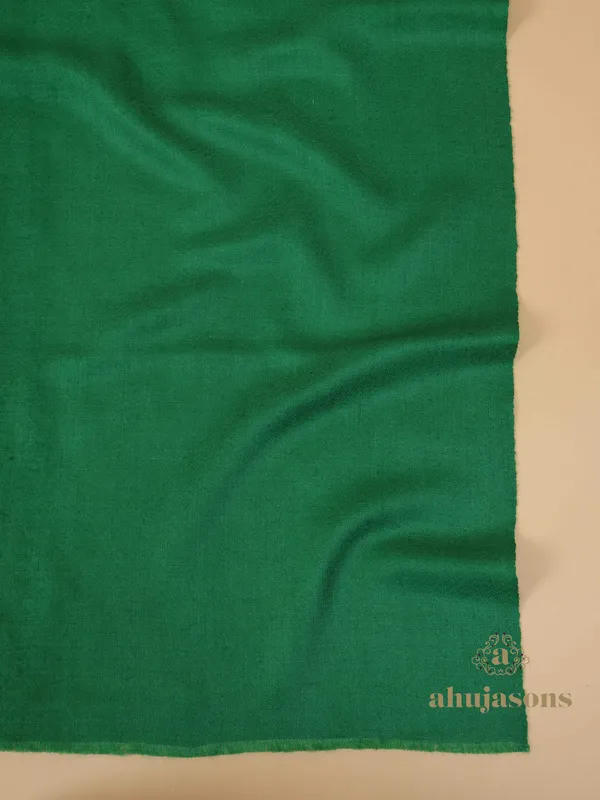 Handloom Pure Pashmina Shawl