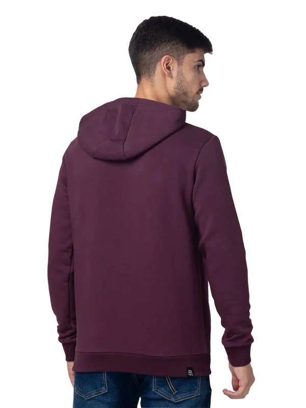 Being Human Clothing Men Regular Fit Hooded Hoody-Fig