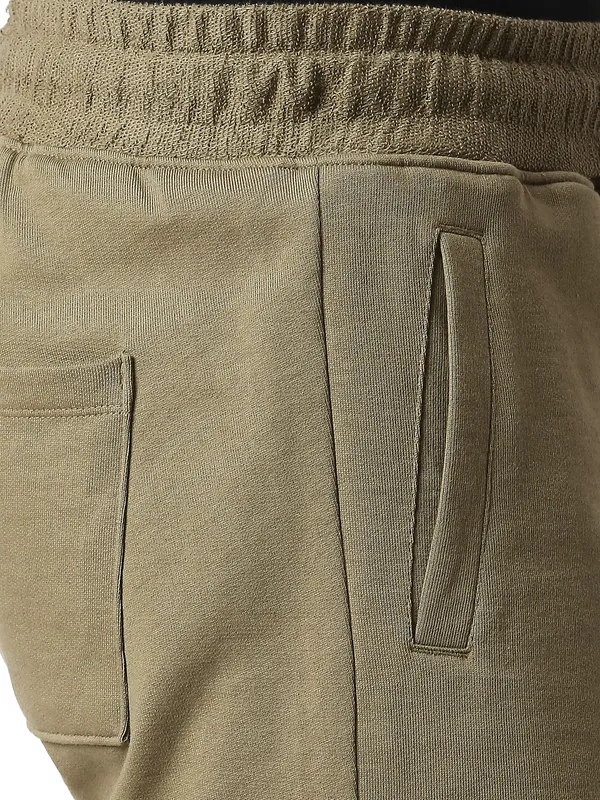Being Human Clothing Men Regular Fit Shorts-Olive