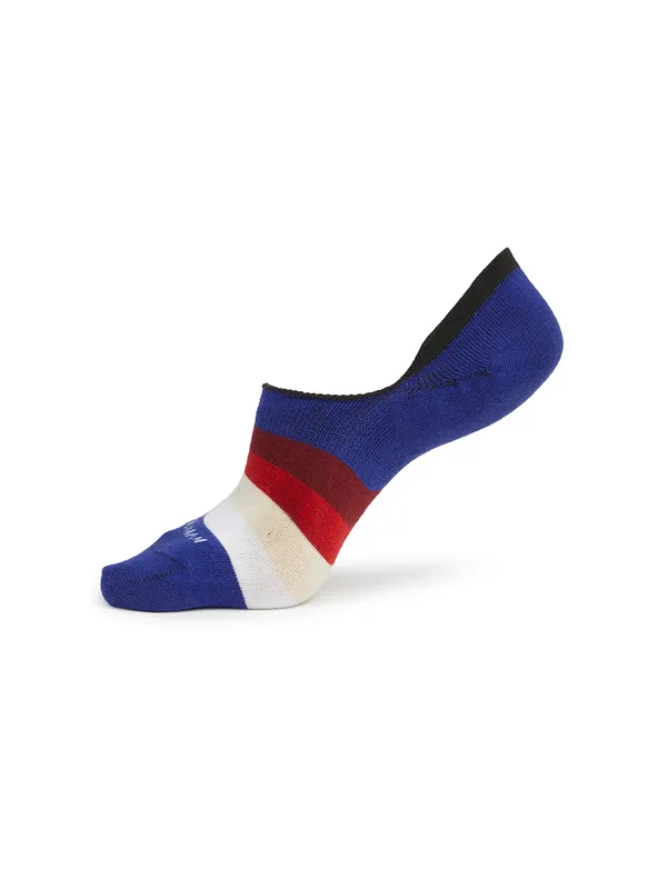 Being Human Accessories Wine/Royal Blue Socks