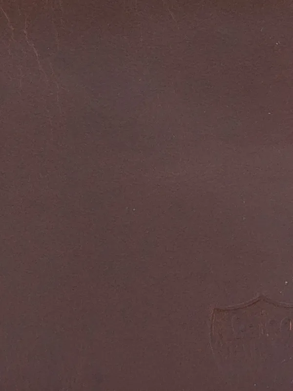 Being Human Men Tan Wallets