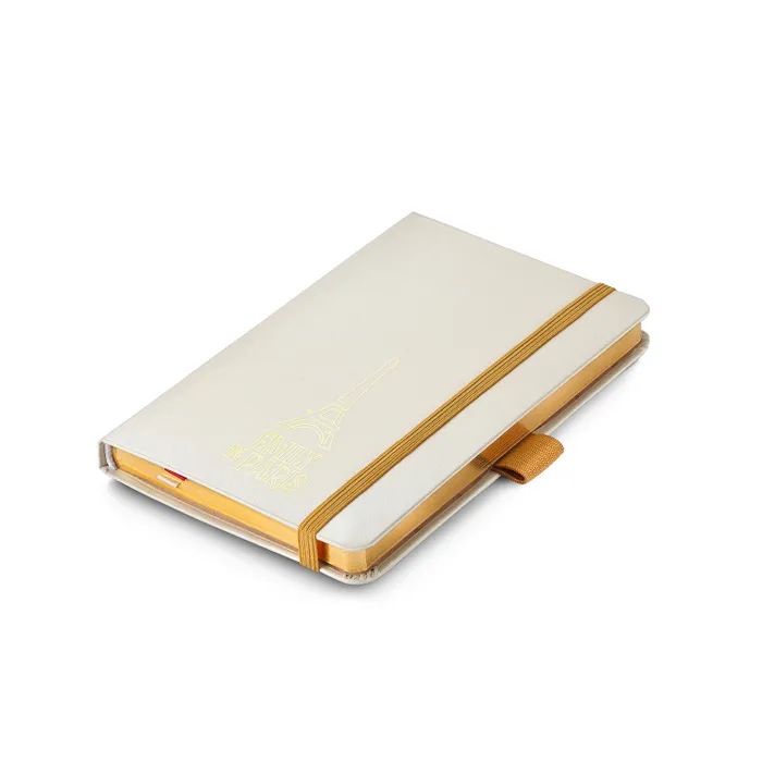 Sheaffer 100 Emily in Paris 9377 Champagne Gold Ballpoint Pen with Champagne Gold Trim and Hardbound Small Notebook Gift Set