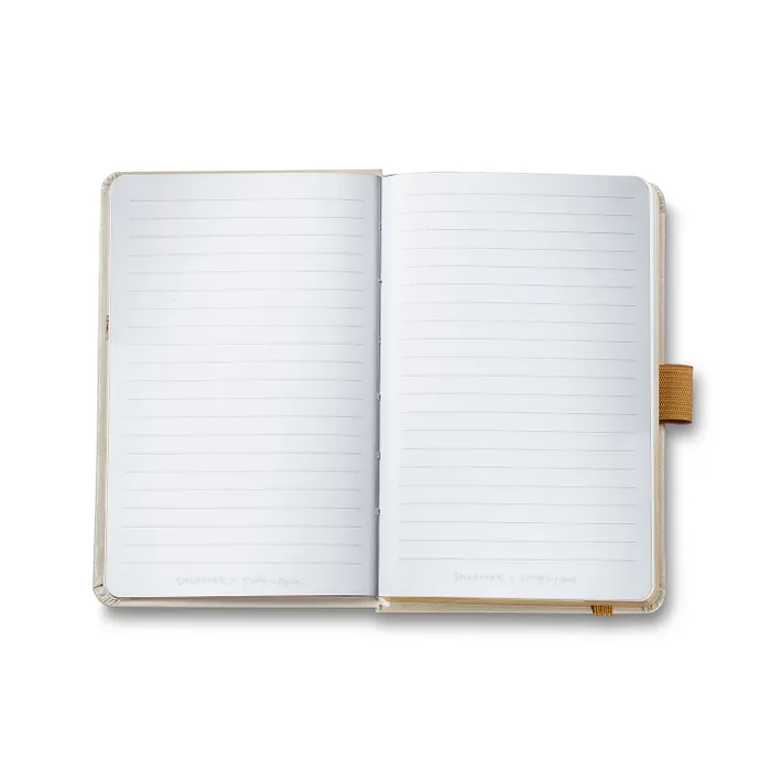 Sheaffer 100 Emily in Paris 9377 Champagne Gold Ballpoint Pen with Champagne Gold Trim and Hardbound Small Notebook Gift Set