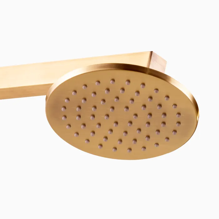 Elegant Overhead Shower Round Bronze