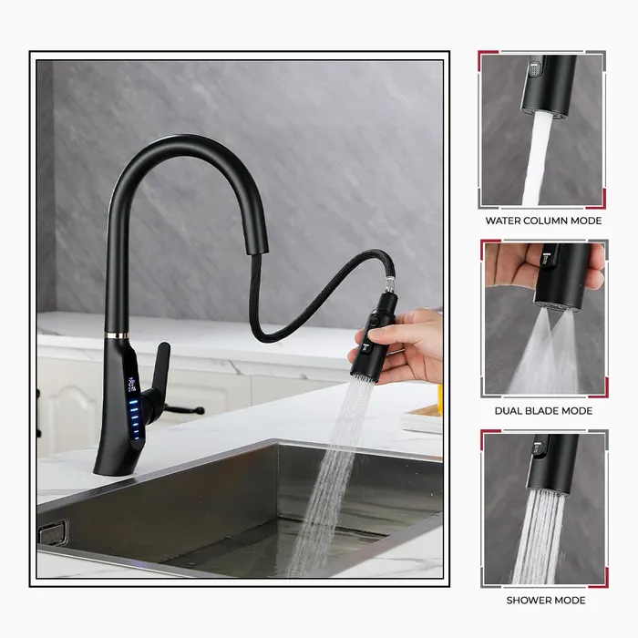 Madam Queen Pull out sink mixer 1390 black