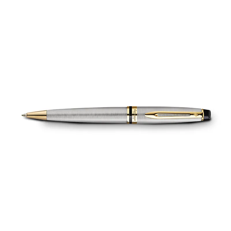 Waterman Expert Stainless Steel Gold Trim Ballpoint Pen