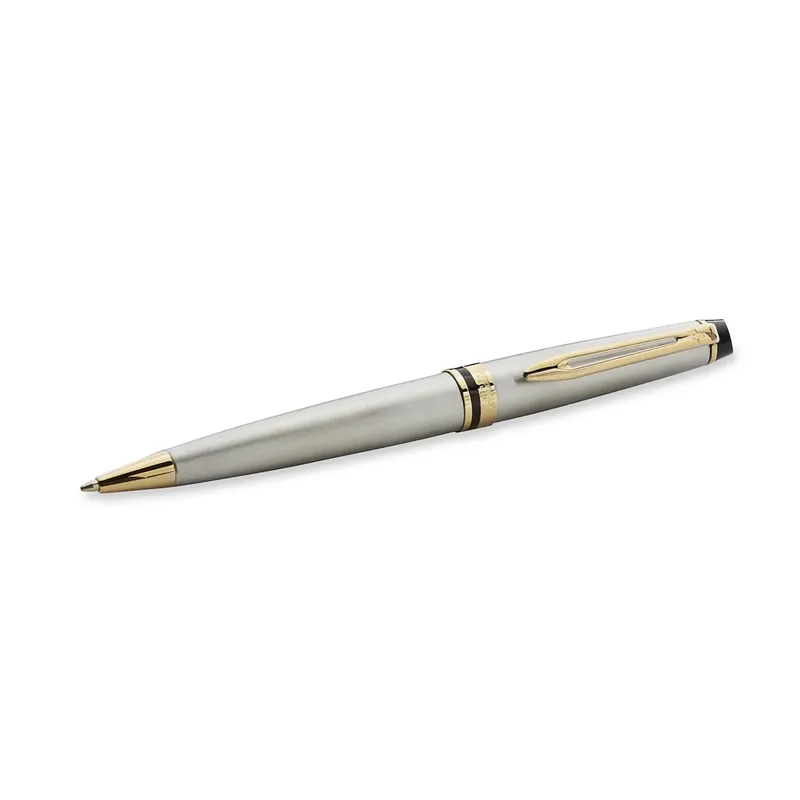 Waterman Expert Stainless Steel Gold Trim Ballpoint Pen