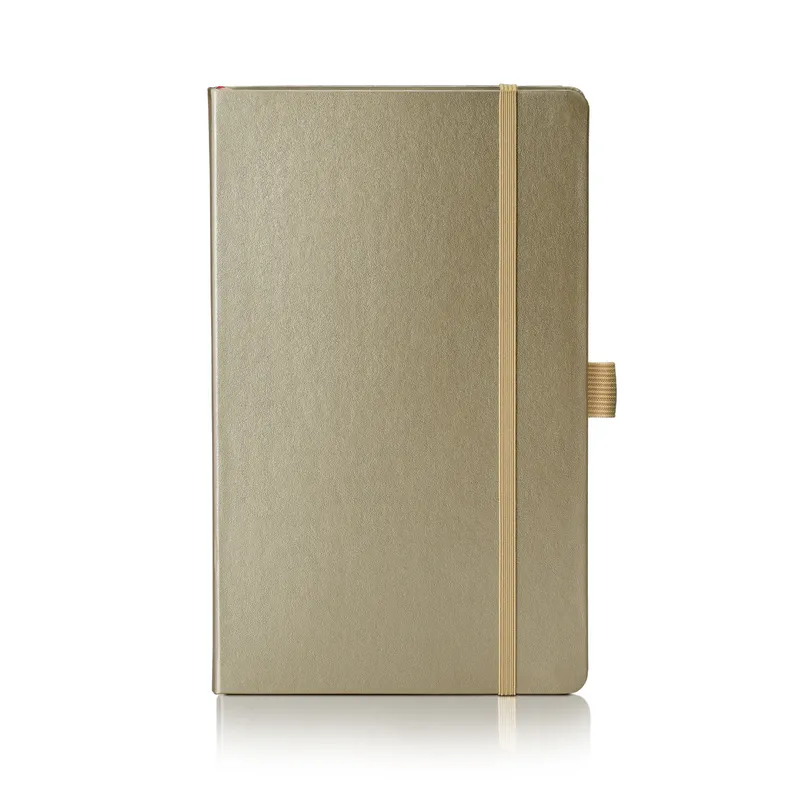 Sheaffer Eternal Shine 90 GSM Eco-Friendly Hardbound Medium Notebook - Metallic Champagne Gold