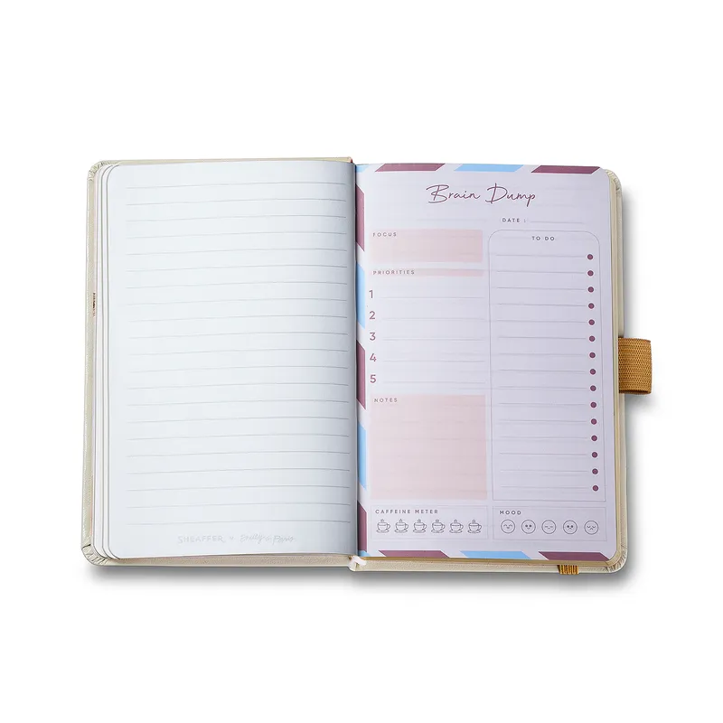 Sheaffer 100 Emily in Paris 9377 Champagne Gold Ballpoint Pen with Champagne Gold Trim and Hardbound Small Notebook Gift Set