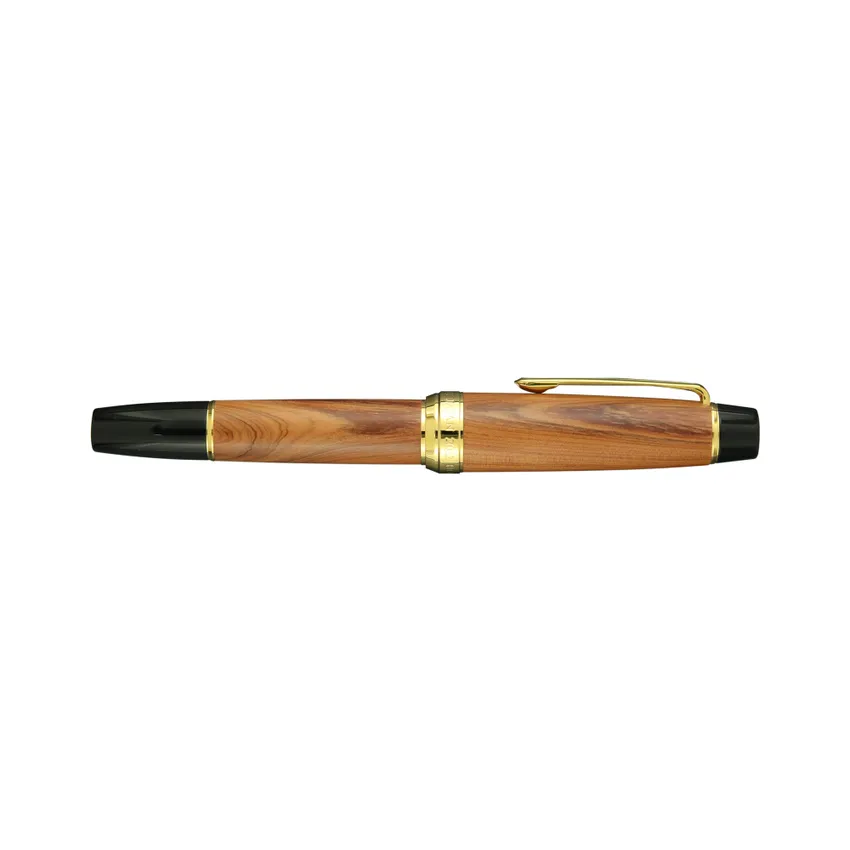Sailor Commemorative for Rebuilding Hiroshima Factory Fountain Pen (21K Medium) - Brown With Gold Tr