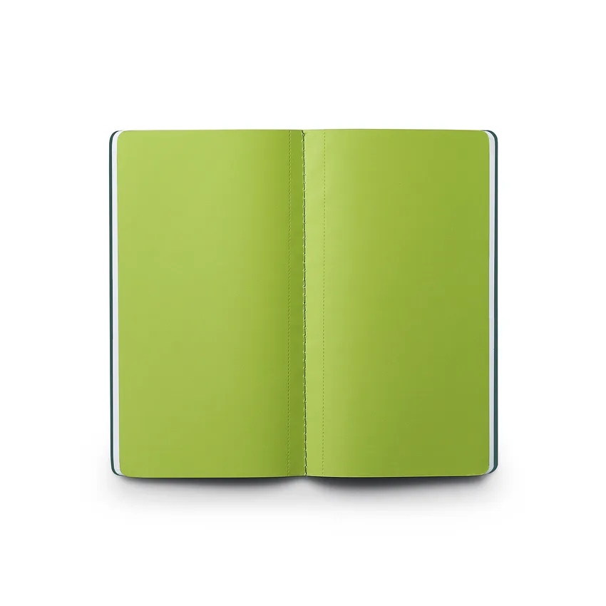 Sheaffer Quikfill 90 GSM Goal Notebook Pack of 2 - Green